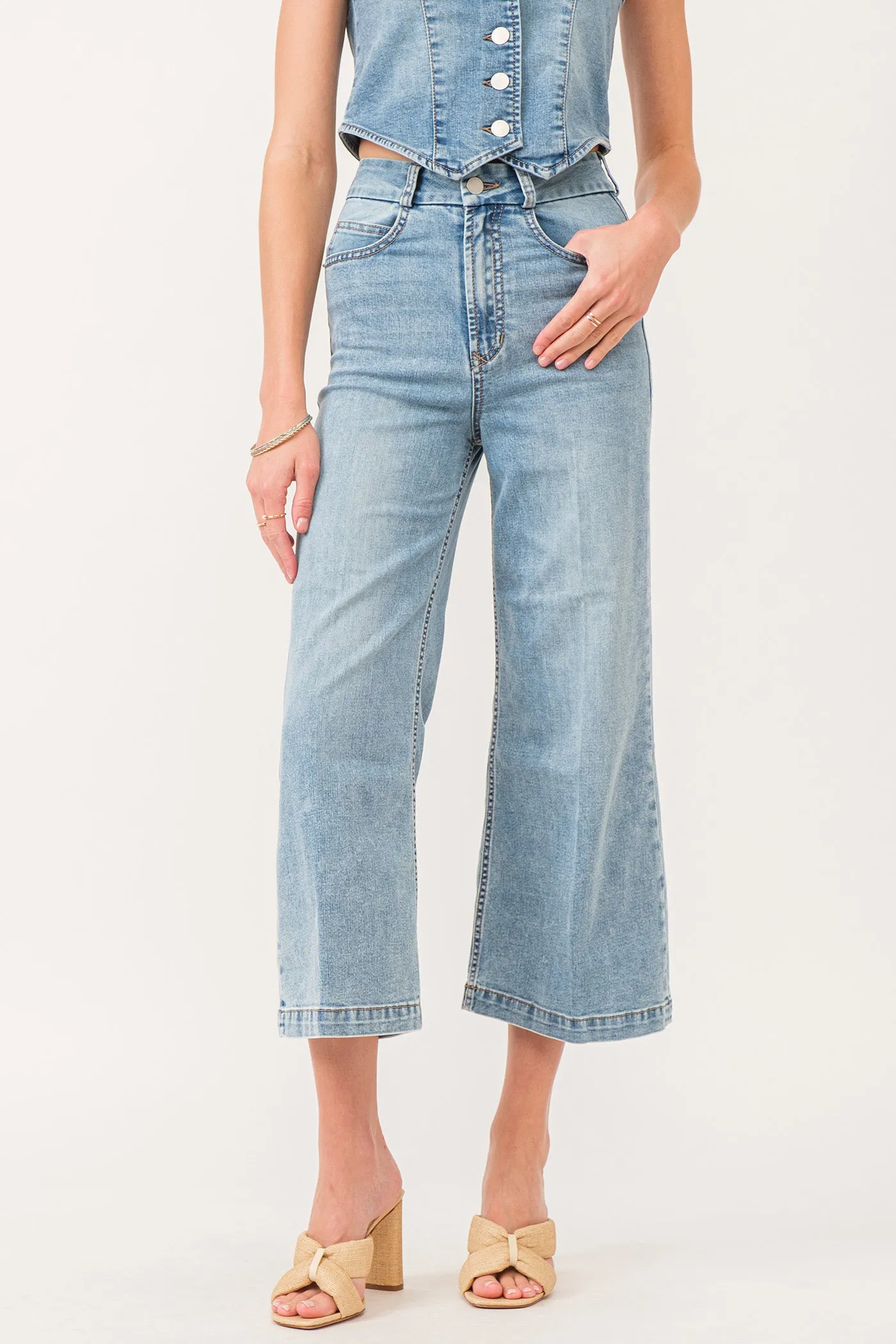 Audrey High Rise Cropped Wide Leg