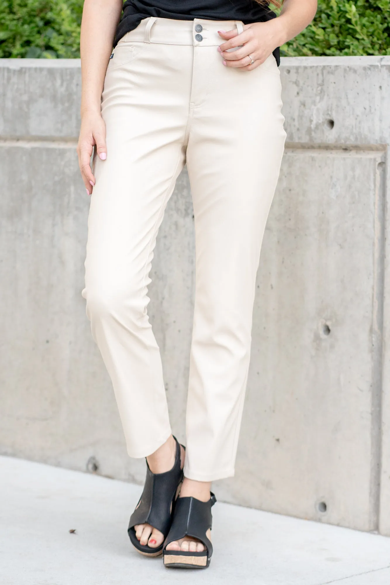 Charlotte High Rise Skinny Straight Pleater Pants